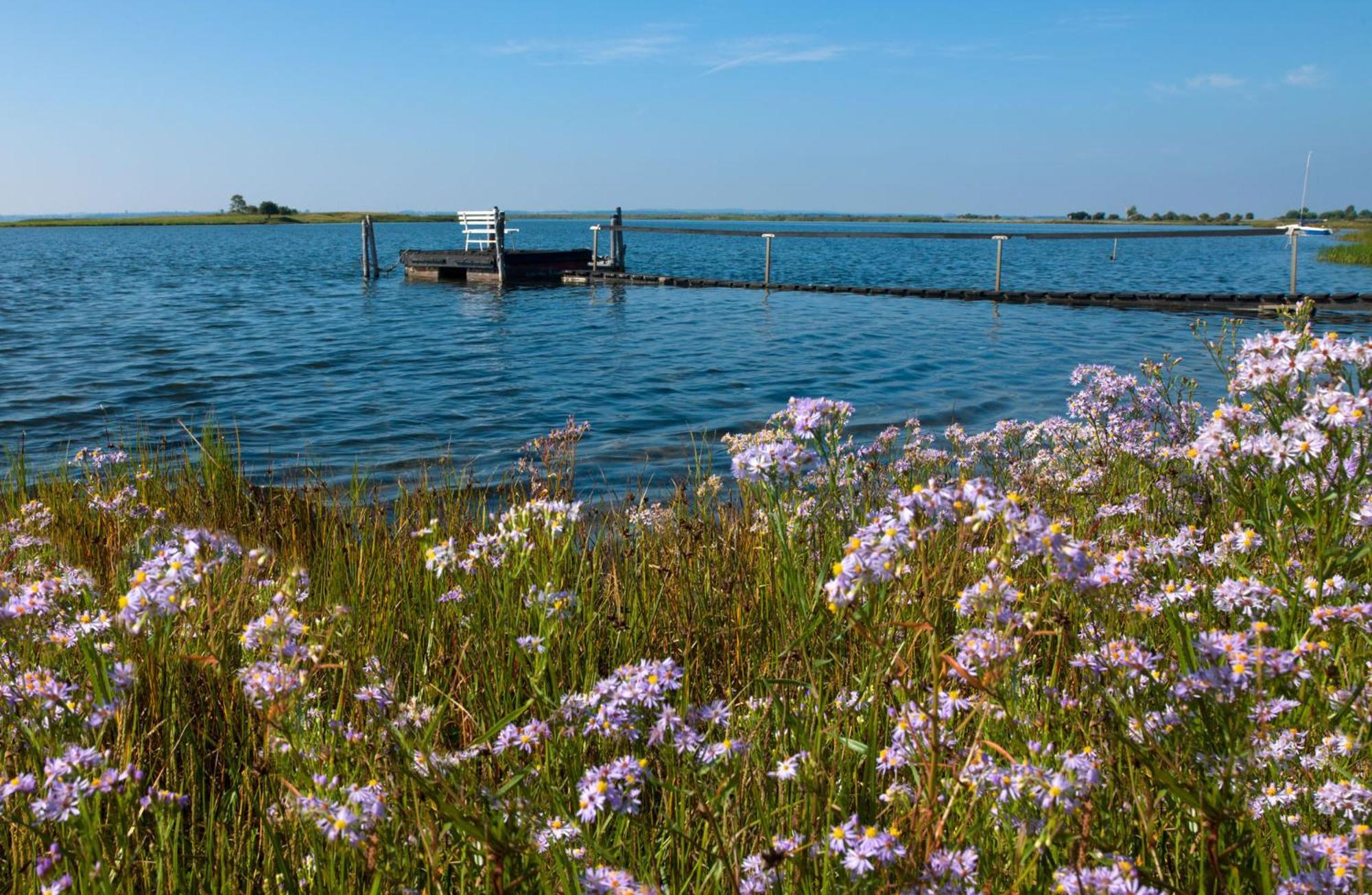 Seerose Insel Poel Exterior foto